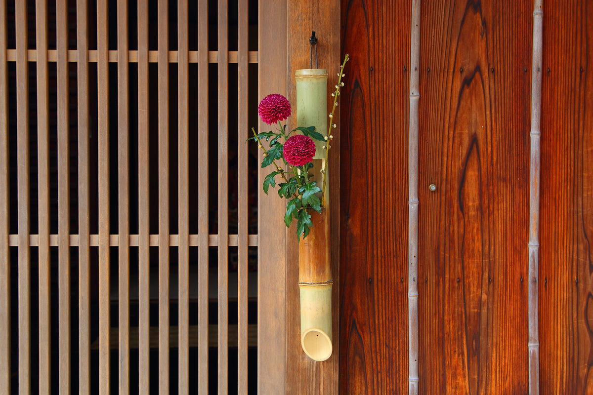 Mother's Day Gift Guide