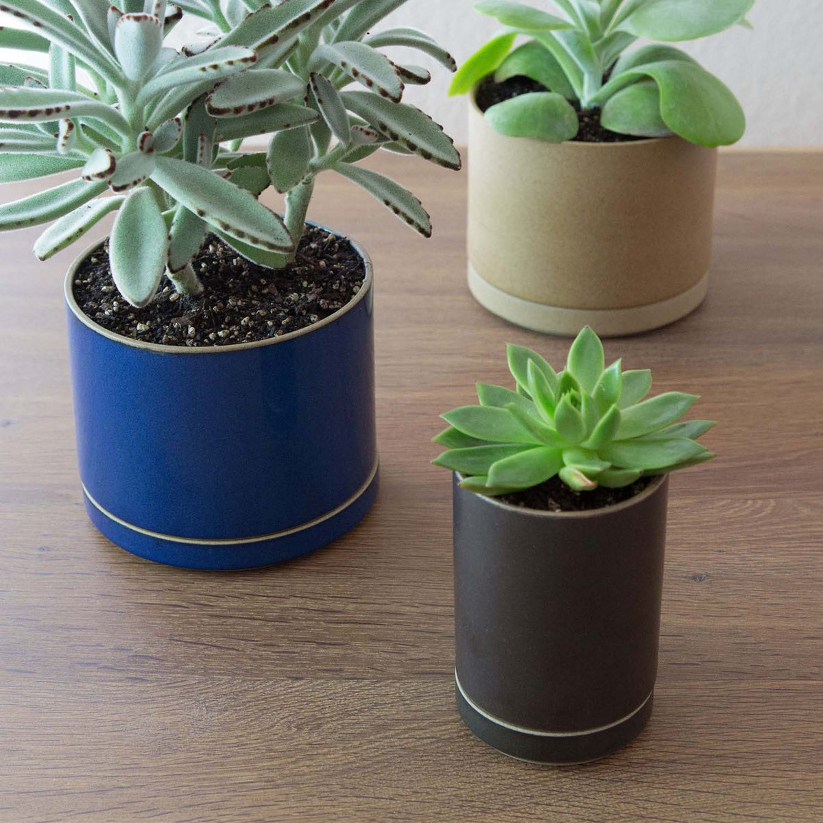 Planter Set - Large