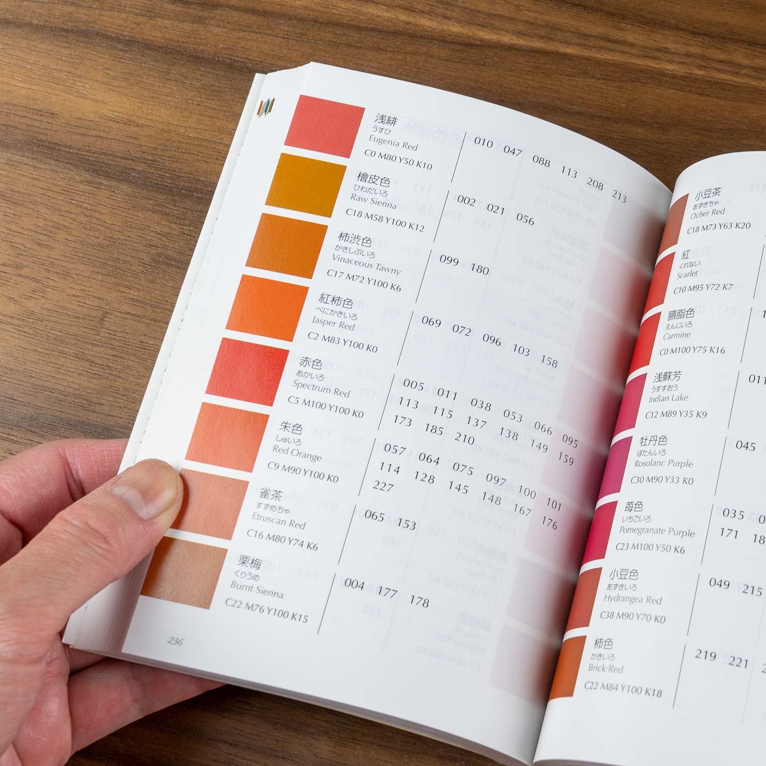 A Dictionary of Color Combinations Vol. 2