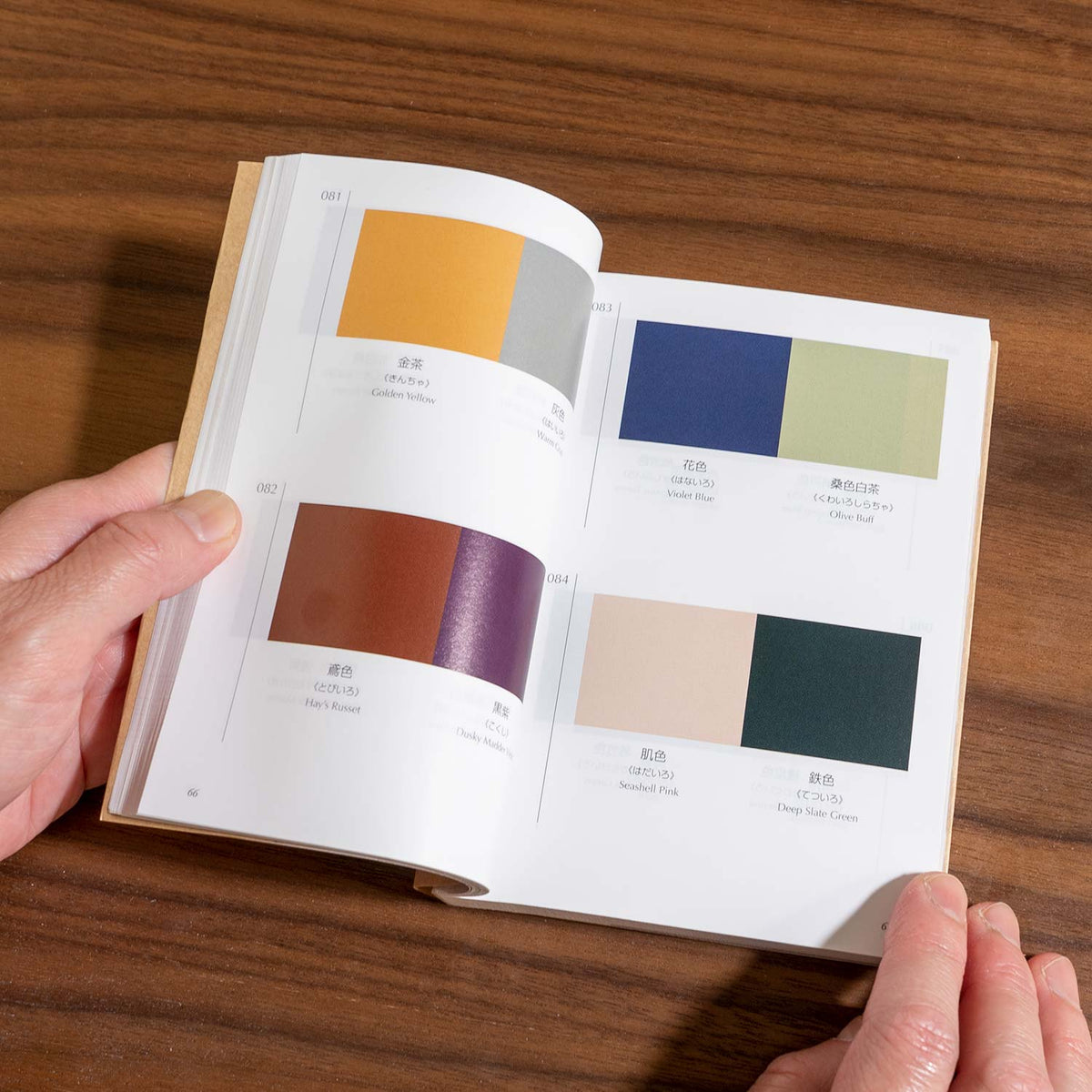 A Dictionary of Color Combinations