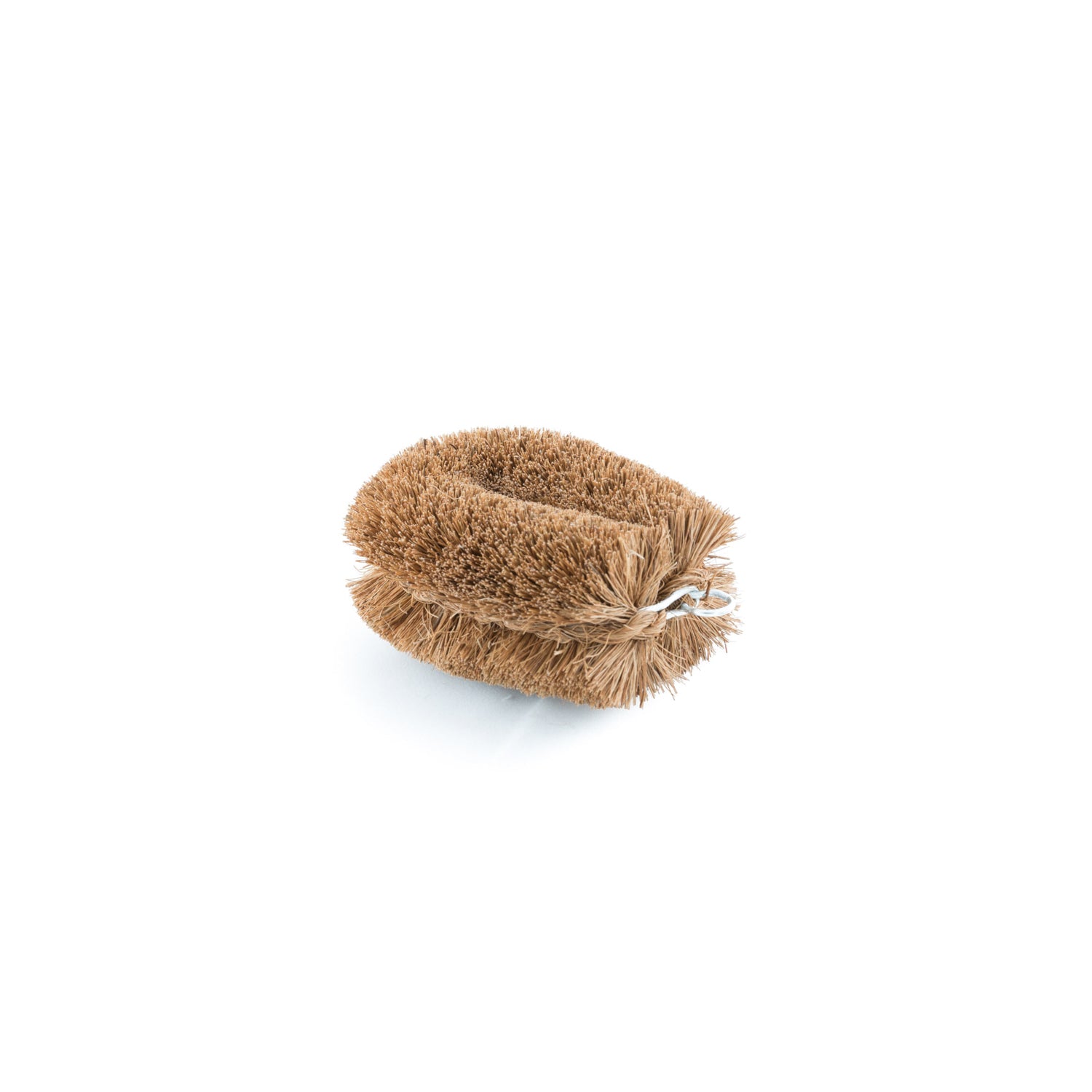 Cleaning Brush